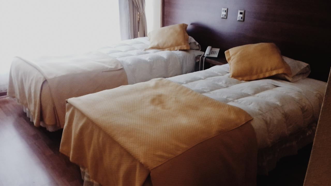 Hotel Plaza 洛斯安第斯 外观 照片