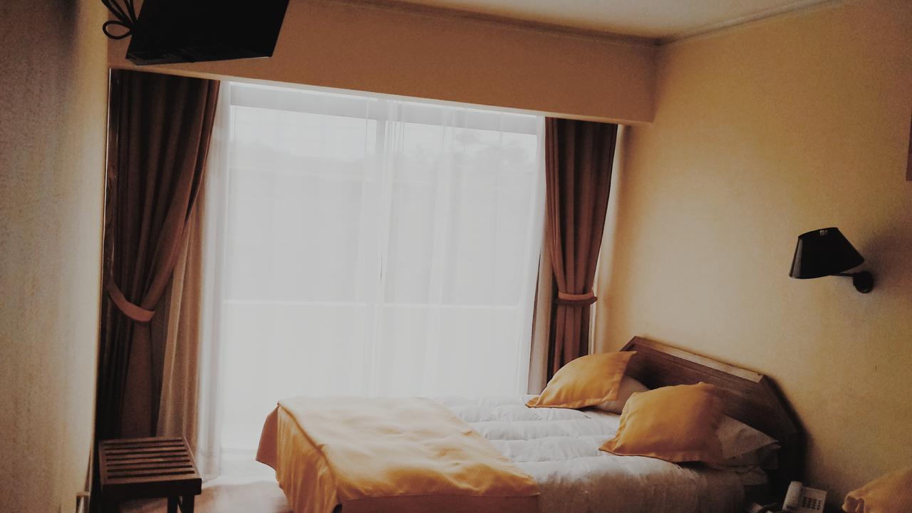 Hotel Plaza 洛斯安第斯 外观 照片