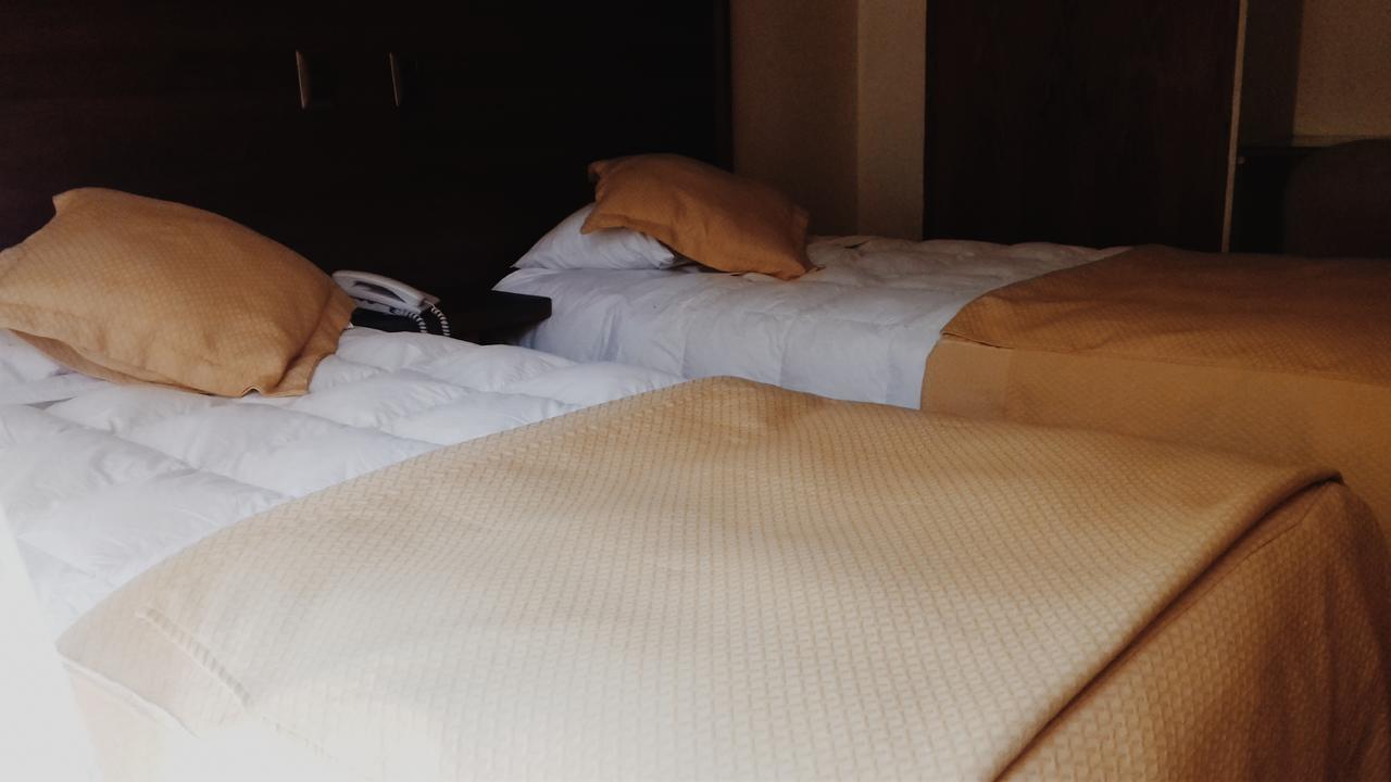 Hotel Plaza 洛斯安第斯 外观 照片